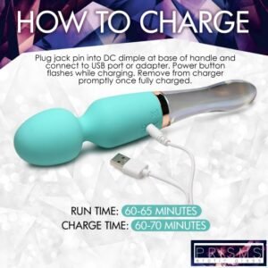 10x turquoise dual ended silicone and glass wand